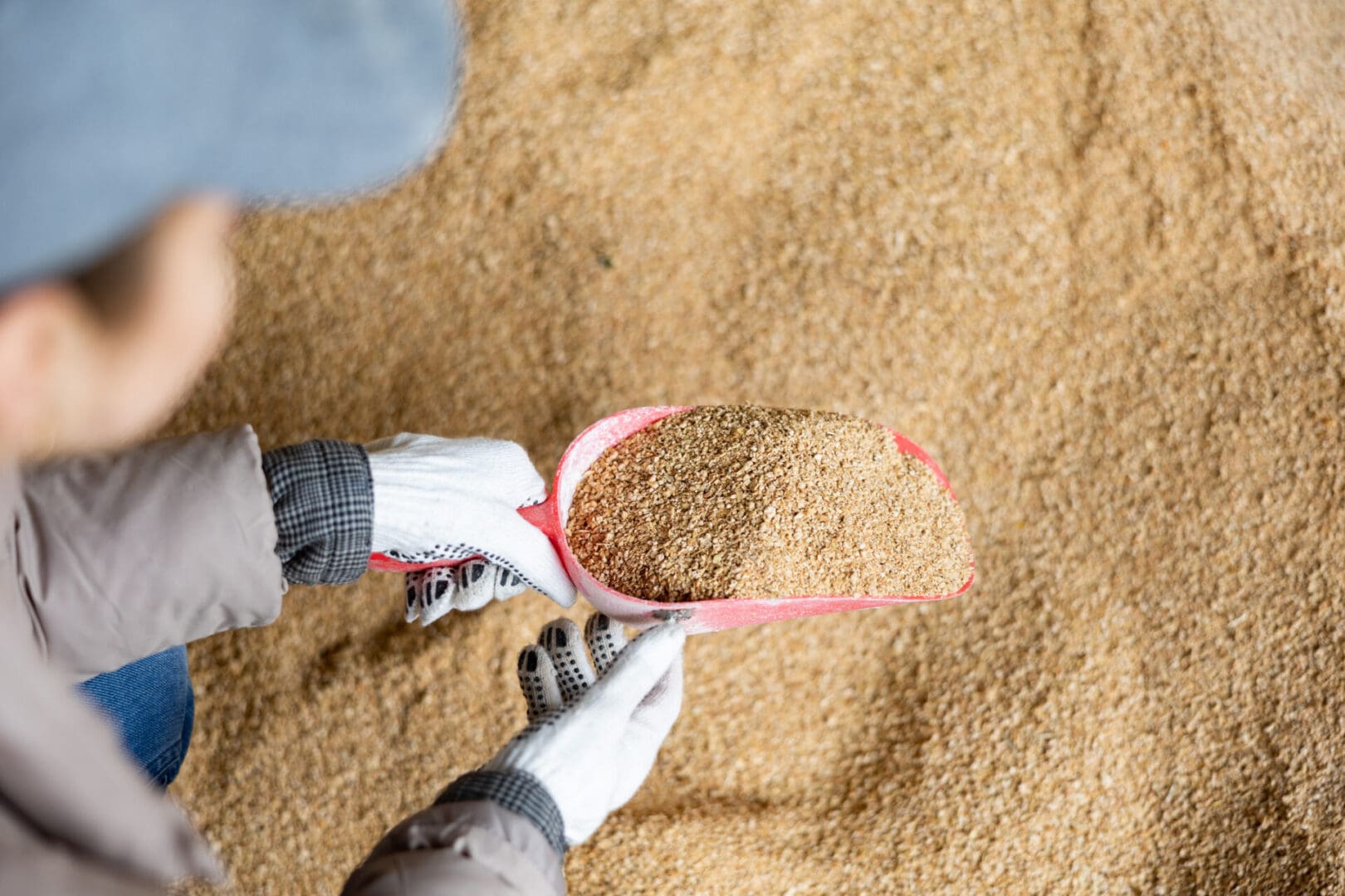 Worker handling grain with gloves