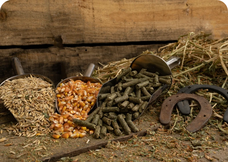 Assorted livestock feed and horseshoes