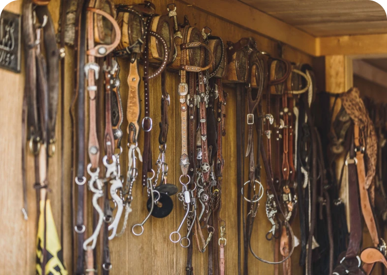 Leather horse gear neatly organized