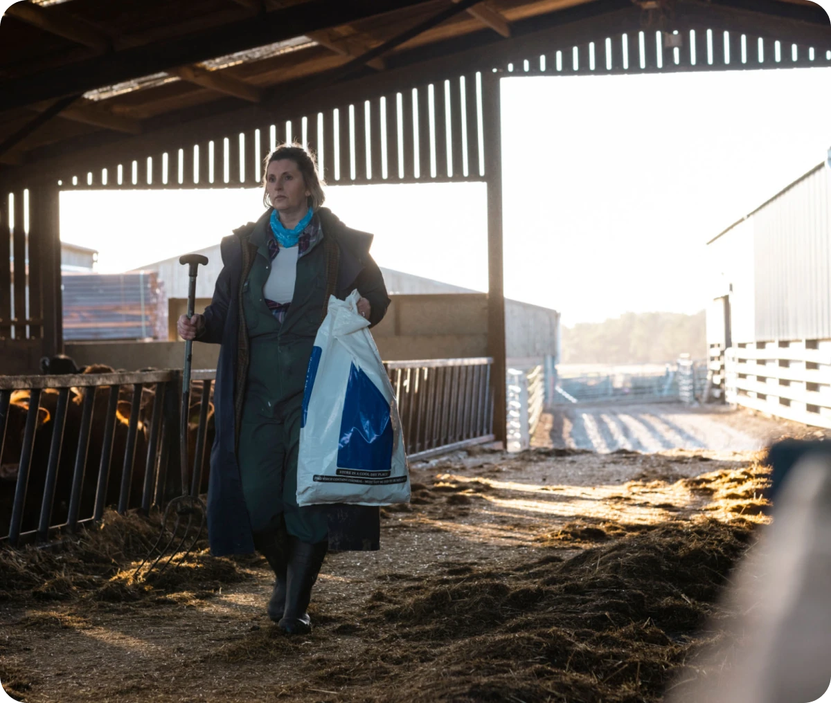 Farmer walking with animal feed