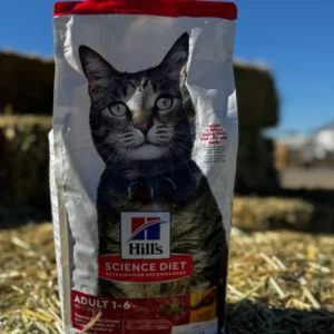 A cat sitting inside a pet food bag with its face peeking out.