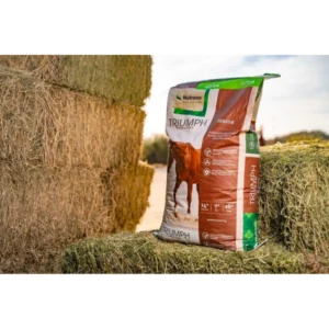 A bag of horse bedding leaning against hay bales outdoors.