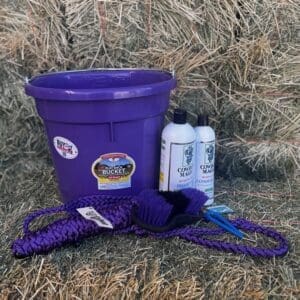 Purple horse grooming bucket with two cans and a purple rope halter.