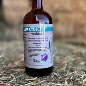 A bottle of Cydech cider with detailed labeling on a natural ground background.