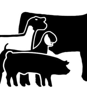Black and white silhouettes of four farm animals: a horse, a dog, a pig, and a cow.