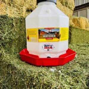 White five-gallon poultry waterer on hay