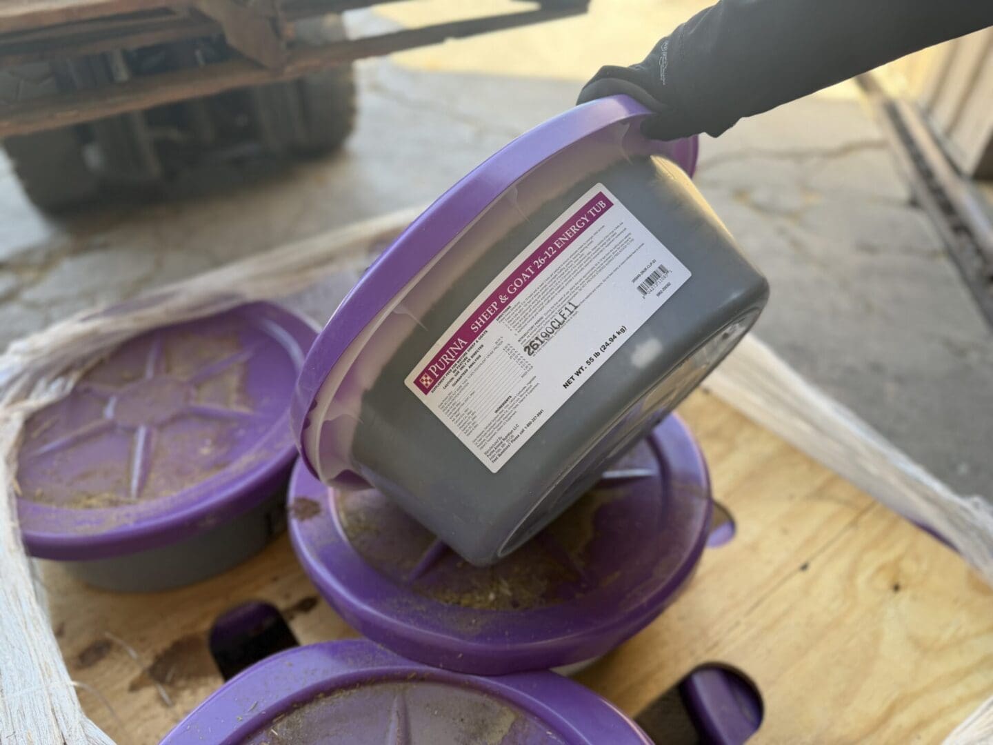 PURINA SHEEP AND GOAT TUB